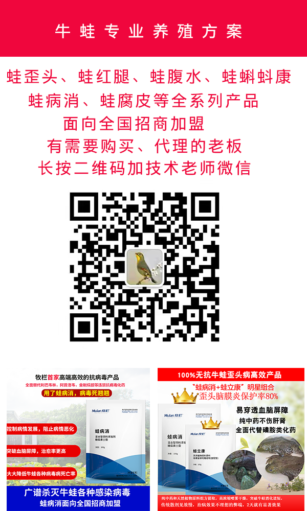 未标题-2.png
